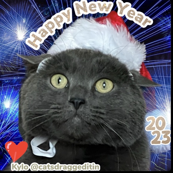 Hi! It’s Me, Kylo! - Picture 1 of 8